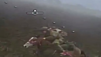 Ucrania asegura haber llevado a