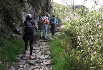 Camino Inca. (Foto: Andina)