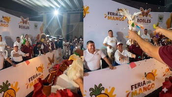 Crueldad animal en Veracruz: lanzan pollos vivos desde carro alegórico durante carnaval, activistas exigen sanciones legales