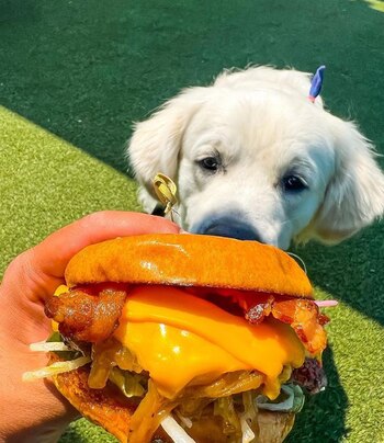 El restaurante y bar de