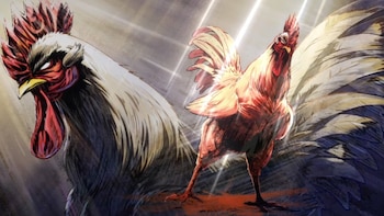 “Rooster Fighter”: el insólito anime sobre un gallo que se convirtió en lo más visto en América Latina