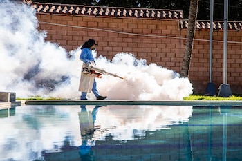 El MINSAL identificó al DENV-3 como serotipo predominante del dengue y advirtió mayor riesgo de enfermedad grave en personas con antecedentes de infección. (Foto cortesía Ministerio de Salud)