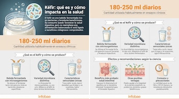 Infografía sobre el kéfir con gráficos de un frasco, un vaso, gránulos, microorganismos, intestino y células. Incluye texto explicativo y logotipo Infobae.