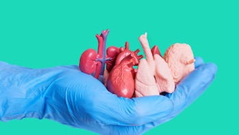 Hombre de 63 años dona córnea, piel, riñones y otros órganos en Hospital “Zaragoza” en CDMX para salvar vidas