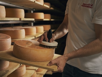 El queso Appenzeller, con una