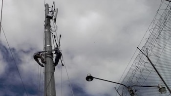 Las compañías que prestan el servicio de telefonía celular e internet no están obligadas a realizar el bloqueo.
