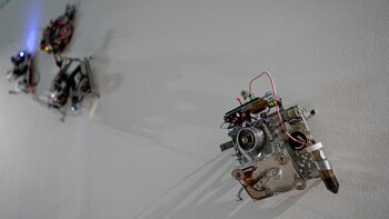 Una obra de Darío Sacco