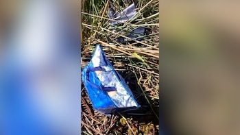 Una bolsa con diseño azul y blanco y asas oscuras reposa sobre el suelo cubierto de hierbas secas y verdes
