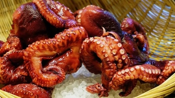 Cuáles son los beneficios a