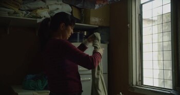 Pinpin será presentada en el