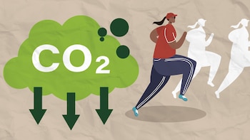 Cómo reducir tu huella de carbono cambiando tu medio de transporte