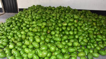 Antioquia es el principal exportador