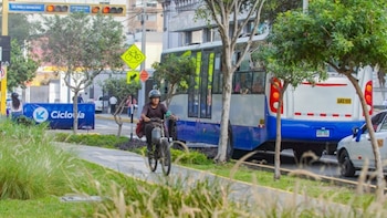 Un ciclista recorre una vía delimitada junto a un autobús azul y gris en una calle urbana con árboles y semáforos
