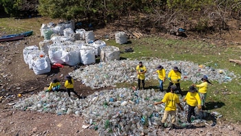 Más de 200 toneladas de