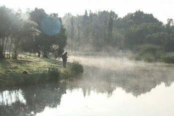 FOTO: ROGELIO MORALES /CUARTOSCURO