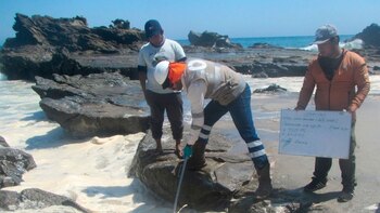 Derrame de petróleo en Piura: