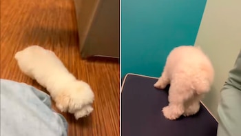 El video publicado en Tik