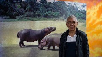 La llegada de los hipopótamos a Colombia desde la voz del fotógrafo de Pablo Escobar: “Nadie sabía lo peligrosos que eran”