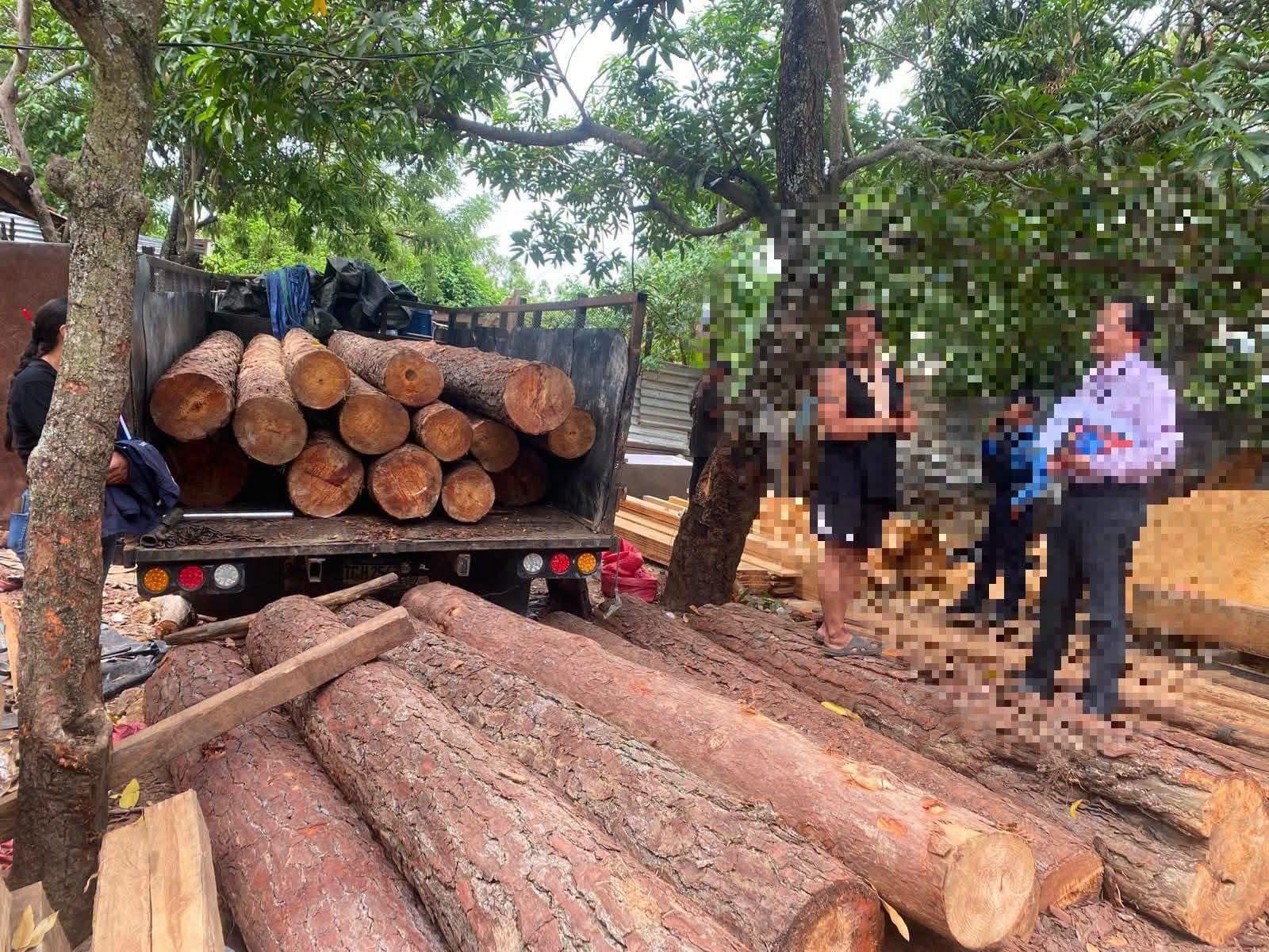 La explotación ilegal de recursos naturales concentró la mayor cantidad de arrestos con 85 casos registrados.