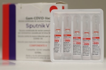 Panacea Biotec, uno de los principales fabricantes de vacunas y productos farmacéuticos de la India, comenzará a producir la vacuna rusa Sputnik V en la India (REUTERS/Amanda Perobelli)