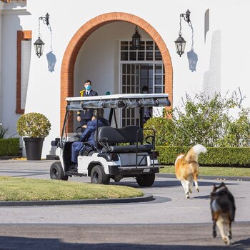Alberto Fernández con Dylan y