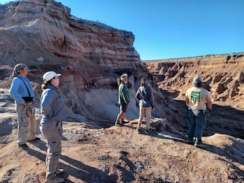 Descubren en río negro un nuevo cocodrilo carnívoro terrestre que convivió con los dinosaurios