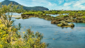 Cómo el lugar donde vivimos puede definir el mundo que habitamos