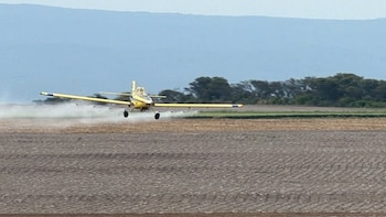 Langostas: aviones y drones superaron el 88% de calidad de aplicación en pruebas del SENASA