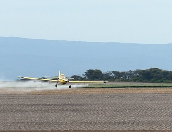 Aviación agrícola: avioneta realizando fumigación preventiva contra las langostas