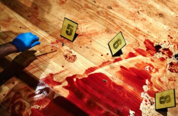 Mary Knott fue asesinada un