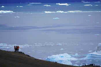 El sismo se detectó en