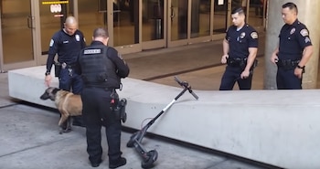 Se podrán hacer inspecciones aleatorias