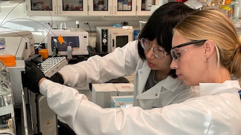 En qué consiste la biblioteca