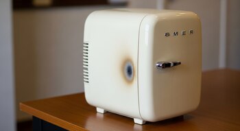 El programa de retiro y