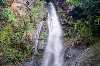 La Tunera cuenta con una