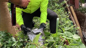 Una fosa común destapa red de desapariciones, desmembramientos y homicidios vinculados a La Cordillera en Risaralda