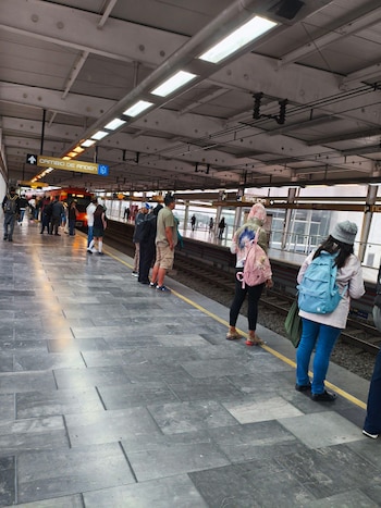 Avance en tiempo real de las diversas líneas de la red de transporte público capitalino.