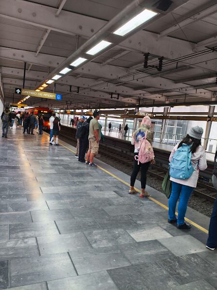 Avance en tiempo real de las diversas líneas de la red de transporte público capitalino. (Redes sociales)