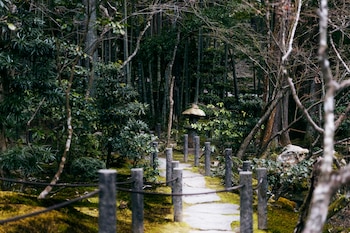 El Kumano Kodo es una