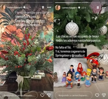 Imágenes compartidas por Carme Chaparro
