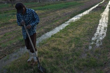 Agricultores del Valle del Río
