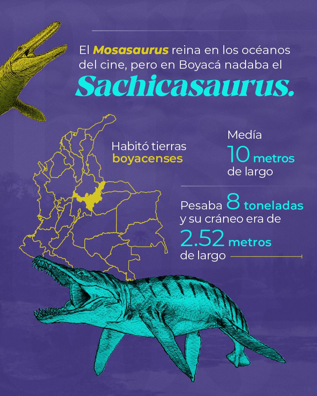 En Boyacá se encontró el Sachicasaurus vitae, un reptil marino del Cretácico - crédito Servicio Geológico Colombiano