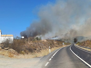 16/09/2026 El Infoca da por controlado el incendio forestal de Villanueva de los Castillejos.
El Servicio de Extinción de Incendios Forestales, Plan Infoca, ha dado por controlado, a las 12,50 horas de este jueves, el incendio forestal declarado este jueves en el paraje El Alamillo de Villanueva de los Castillejos (Huelva), que el miércoles obligó a cortar al tráfico la carretera A-495 entre los kilómetros 18 y 26, en ambos sentidos.
POLITICA ANDALUCÍA ESPAÑA EUROPA HUELVA SOCIEDAD
AYUNTAMIENTO DE VILLANUEVA DE LOS CASTILLEJOS