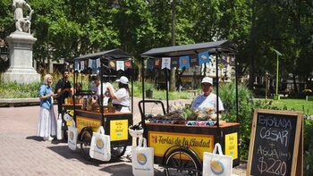 “Bici puestos” con frutas, helados,
