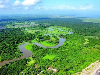 La Reserva de la Biósfera del Río Plátano cuenta con aproximadamente 350,000 hectáreas en la región de la Mosquitia. (Foto: Archivo)