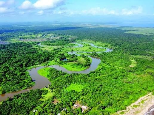 La Reserva de la Biósfera del Río Plátano cuenta con aproximadamente 350,000 hectáreas en la región de la Mosquitia. (Foto: Archivo)