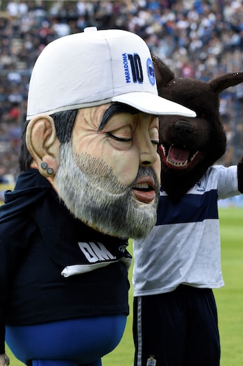 Las dos mascotas: el Diego