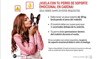 Nuevas políticas de Avianca para