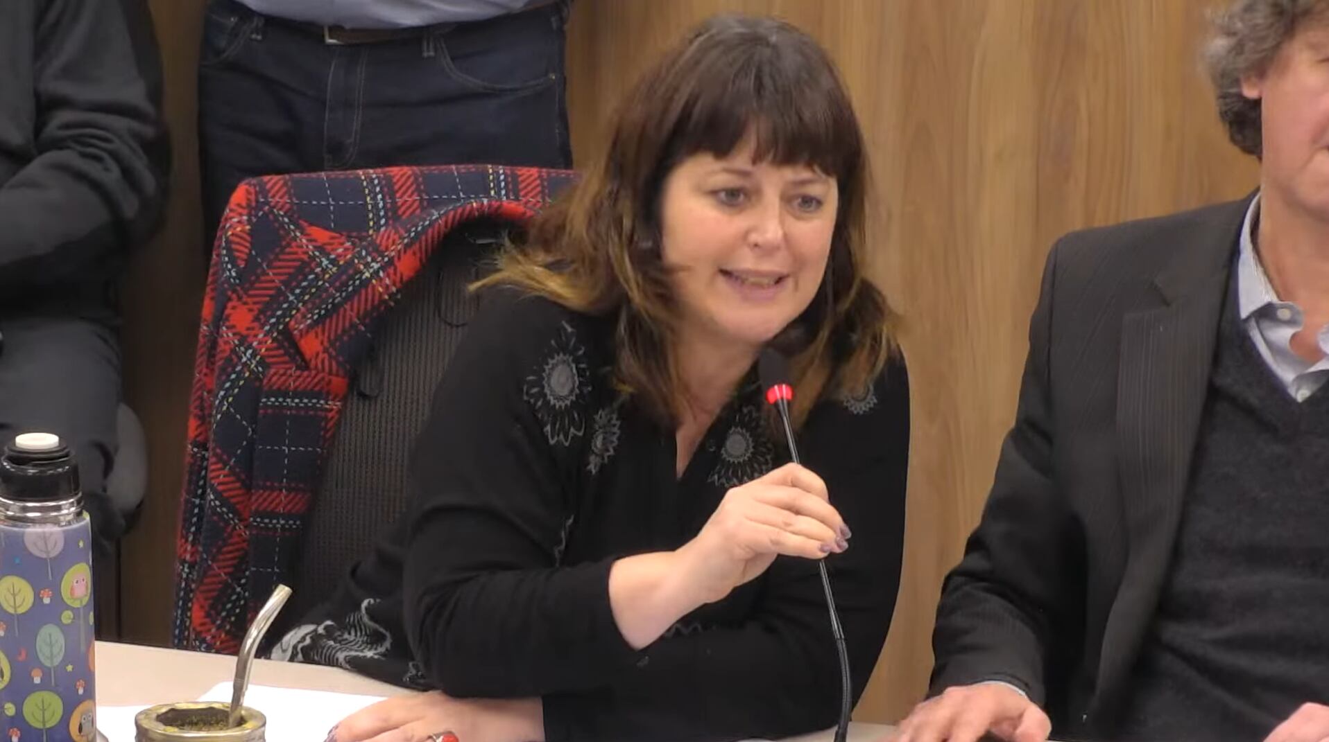 La diputada Carolina Gaillard, una de las autoras del proyecto de ley