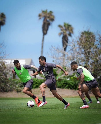Universitario de Deportes – Fabián Bustos – Héctor Cúper - Liga 1 – Perú – deportes – 29 septiembre